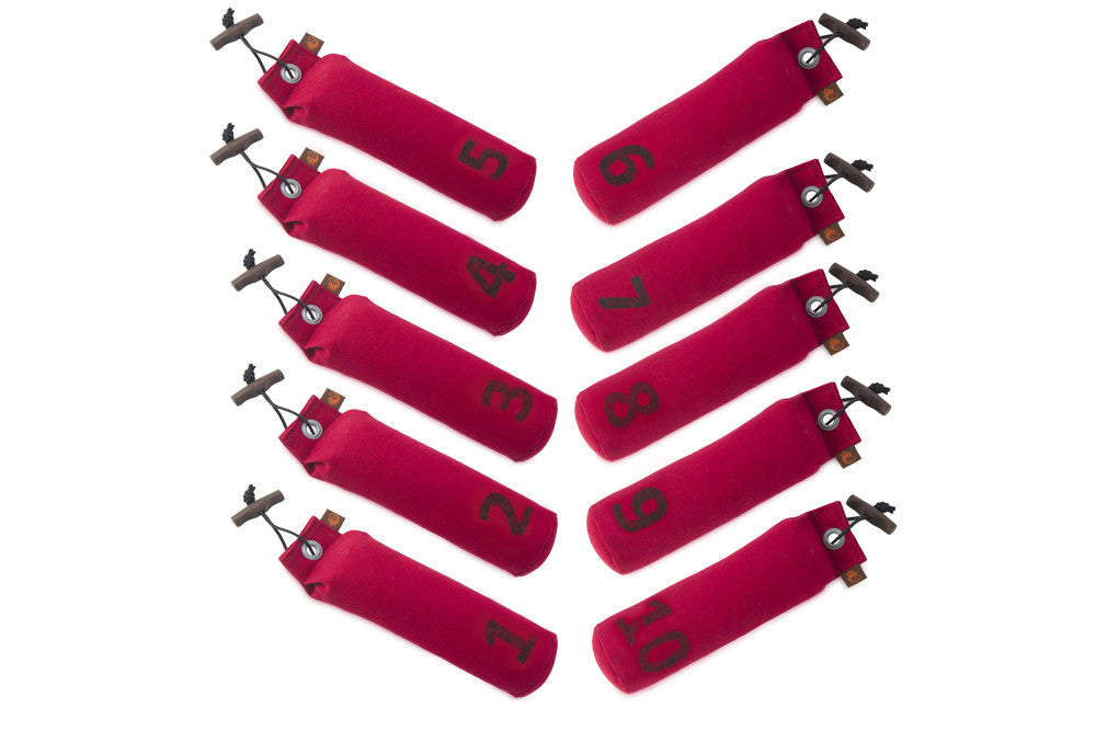 Firedog Standard Dummy 500g - Set 10 Stück numeriert