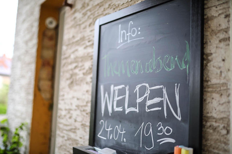 Themenabend Welpen